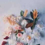 ヒメ日記 2025/10/22 12:21 投稿 みなみ 天空のマット