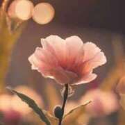 みなみ いつもありがとうございます♡ 天空のマット