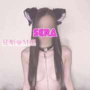 ヒメ日記 2025/10/15 02:54 投稿 せら LOVE CLOVER（らぶくろーばー）