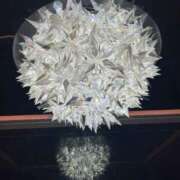 ヒメ日記 2025/09/27 10:34 投稿 ももか ピンクコレクション大阪