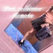 ヒメ日記 2025/10/09 10:08 投稿 ももか ピンクコレクション大阪