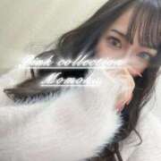 ヒメ日記 2025/10/29 12:21 投稿 ももか ピンクコレクション大阪