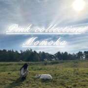 ヒメ日記 2025/10/29 20:43 投稿 ももか ピンクコレクション大阪