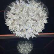 ヒメ日記 2025/09/27 10:32 投稿 ももか ピンクコレクション大阪キタ店