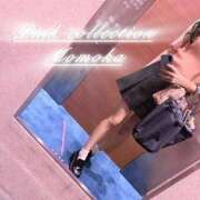 ヒメ日記 2025/10/09 10:19 投稿 ももか ピンクコレクション大阪キタ店