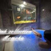 ヒメ日記 2026/03/02 11:19 投稿 ももか ピンクコレクション大阪キタ店