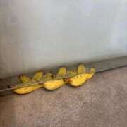 ヒメ日記 2025/10/12 00:37 投稿 ももか ピンクコレクション尼崎店