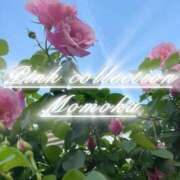 ヒメ日記 2025/10/12 10:02 投稿 ももか ピンクコレクション尼崎店