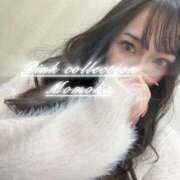 ヒメ日記 2025/10/29 12:03 投稿 ももか ピンクコレクション尼崎店