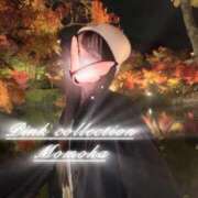 ヒメ日記 2025/11/26 12:06 投稿 ももか ピンクコレクション尼崎店