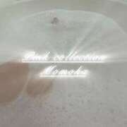 ヒメ日記 2025/12/23 20:01 投稿 ももか ピンクコレクション尼崎店