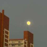 ヒメ日記 2025/12/04 23:32 投稿 白咲 BBW鶯谷店