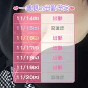 ヒメ日記 2025/11/14 11:30 投稿 星宮 BBW鶯谷店