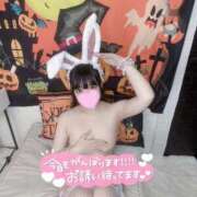 ヒメ日記 2025/11/21 15:00 投稿 みみ プロフィール 京都店