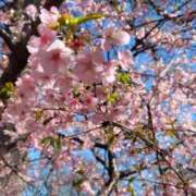 ヒメ日記 2026/03/14 12:16 投稿 朝霞 BBW鶯谷店