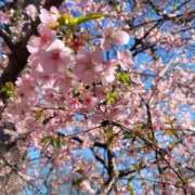 ヒメ日記 2026/03/14 12:43 投稿 朝霞 BBW鶯谷店