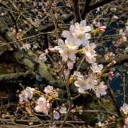 ヒメ日記 2026/03/20 01:33 投稿 朝霞 BBW鶯谷店