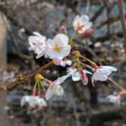 ヒメ日記 2026/03/22 11:23 投稿 朝霞 BBW鶯谷店