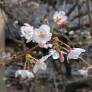 ヒメ日記 2026/03/22 11:54 投稿 朝霞 BBW鶯谷店