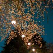 ヒメ日記 2026/03/30 23:22 投稿 朝霞 BBW鶯谷店