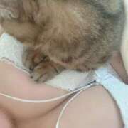 ヒメ日記 2025/11/02 11:01 投稿 花崎 BBW鶯谷店