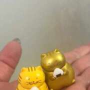 ヒメ日記 2026/02/19 13:44 投稿 花崎 BBW鶯谷店