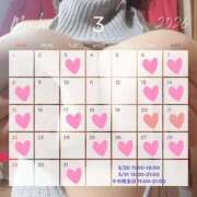 ヒメ日記 2026/03/12 15:33 投稿 花崎 BBW鶯谷店