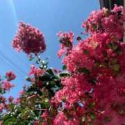 ヒメ日記 2026/03/18 00:23 投稿 花崎 BBW鶯谷店