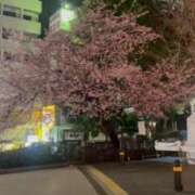 ヒメ日記 2026/03/17 02:03 投稿 月見 BBW鶯谷店