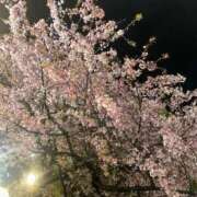 ヒメ日記 2026/03/18 13:18 投稿 月見 BBW鶯谷店