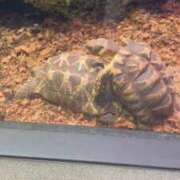 ヒメ日記 2026/05/12 00:43 投稿 月見 BBW鶯谷店