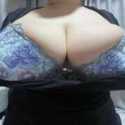 ヒメ日記 2025/11/13 12:02 投稿 名月 BBW鶯谷店