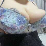 ヒメ日記 2025/11/16 07:00 投稿 名月 BBW鶯谷店