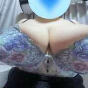 ヒメ日記 2026/02/11 12:06 投稿 名月 BBW鶯谷店