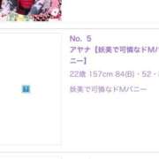 ヒメ日記 2026/03/24 10:48 投稿 アヤナ【妖美で可憐なドMバニー】 ドMなバニーちゃん和歌山店