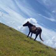 ヒメ日記 2025/11/24 07:15 投稿 花城 BBW鶯谷店