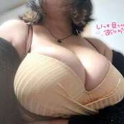 ヒメ日記 2025/11/28 23:01 投稿 花城 BBW鶯谷店