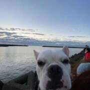 ヒメ日記 2026/01/11 09:01 投稿 花城 BBW鶯谷店