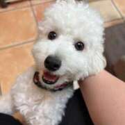 ヒメ日記 2026/03/27 13:03 投稿 上坂 BBW鶯谷店