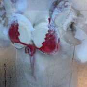 ヒメ日記 2025/11/22 12:25 投稿 笛口 BBW鶯谷店