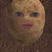 ヒメ日記 2025/12/12 23:32 投稿 あたる 熟女の風俗最終章 新宿店