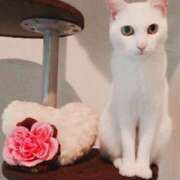 ヒメ日記 2025/10/09 22:34 投稿 アイコ ミセスClub