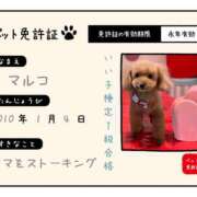 ヒメ日記 2025/11/01 20:31 投稿 アイコ ミセスClub