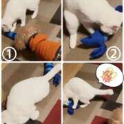 ヒメ日記 2025/11/09 00:09 投稿 アイコ ミセスClub