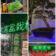 ヒメ日記 2025/11/16 00:05 投稿 アイコ ミセスClub