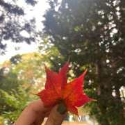 ヒメ日記 2025/09/26 19:13 投稿 けい 完全密室 無抵抗