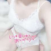 ヒメ日記 2025/10/28 16:44 投稿 けい 完全密室 無抵抗