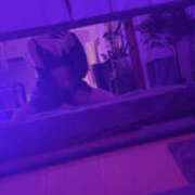 ヒメ日記 2026/02/19 11:50 投稿 戸田 AROMA VENUS