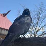 ヒメ日記 2026/03/15 19:50 投稿 戸田 AROMA VENUS