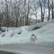 ヒメ日記 2026/03/21 11:03 投稿 戸田 AROMA VENUS